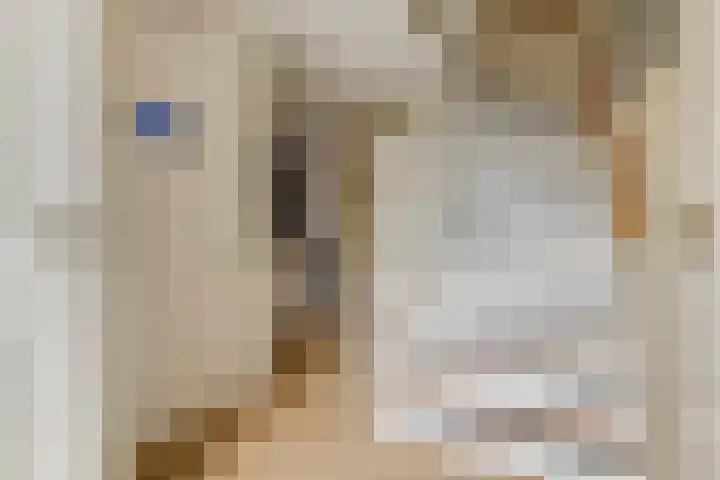 P. Oosterleestraat 11 Tiel thumbnail 12