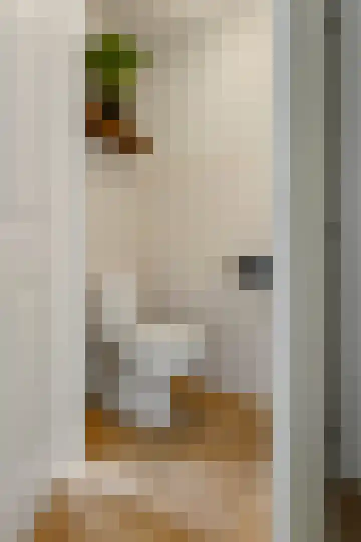 P. Oosterleestraat 11 Tiel thumbnail 13