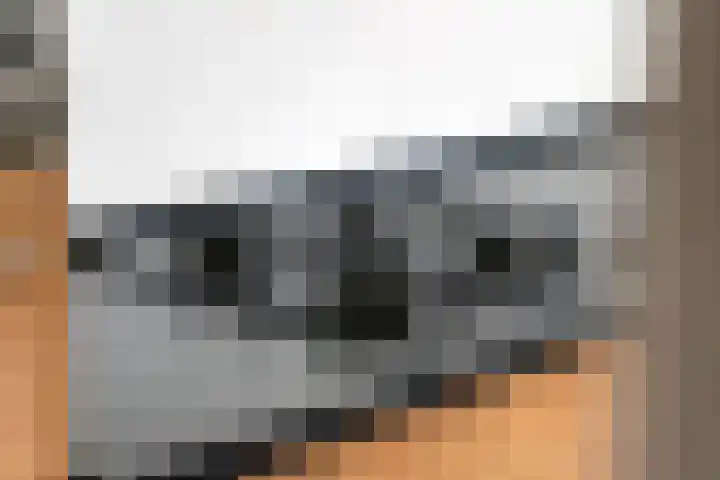 P. Oosterleestraat 11 Tiel thumbnail 17