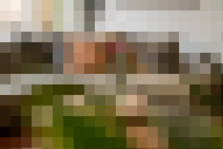 P. Oosterleestraat 11 Tiel thumbnail 24