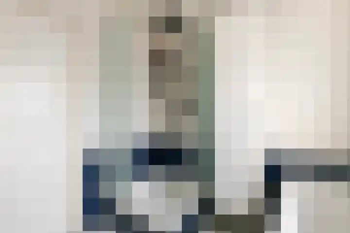 P. Oosterleestraat 11 Tiel thumbnail 37