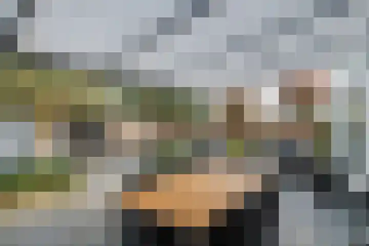 P. Oosterleestraat 11 Tiel thumbnail 4