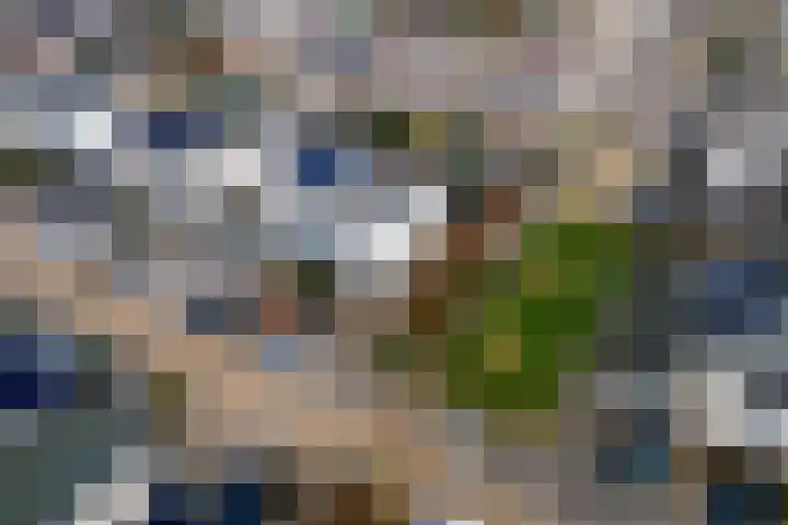 P. Oosterleestraat 11 Tiel thumbnail 42