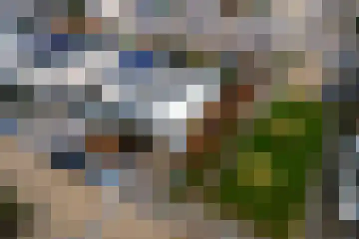 P. Oosterleestraat 11 Tiel thumbnail 43
