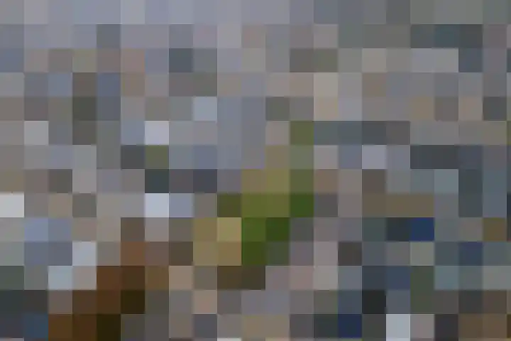 P. Oosterleestraat 11 Tiel thumbnail 44