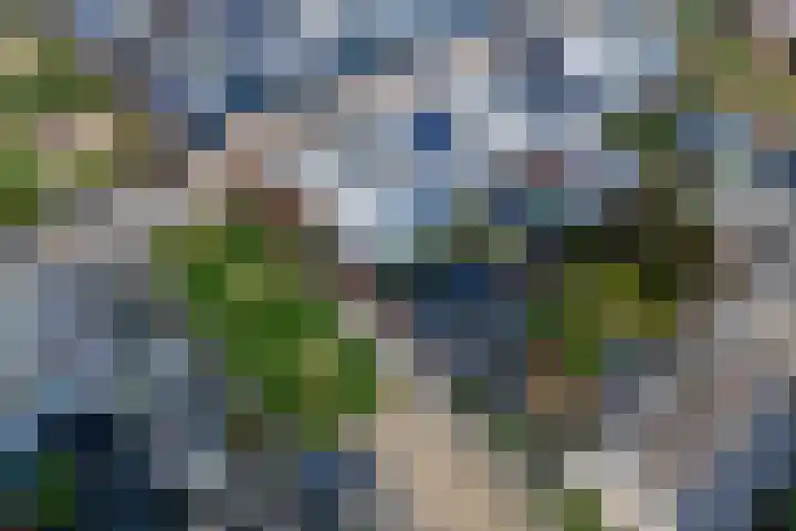 P. Oosterleestraat 11 Tiel thumbnail 45