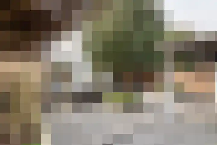 P. Oosterleestraat 11 Tiel thumbnail 6