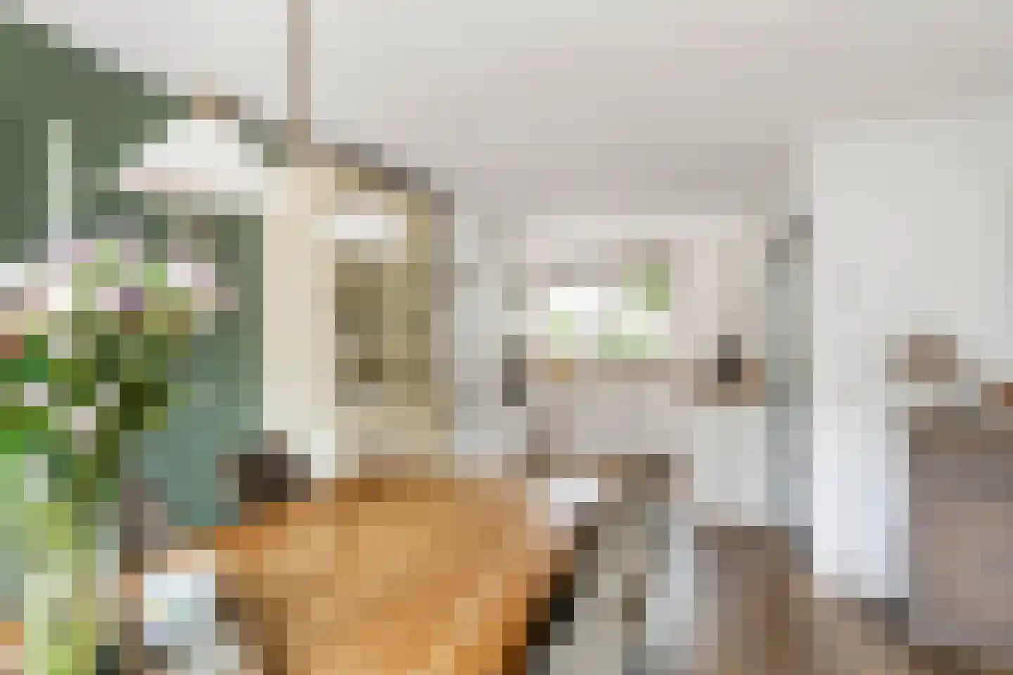 P. Oosterleestraat 17 Tiel thumbnail 19