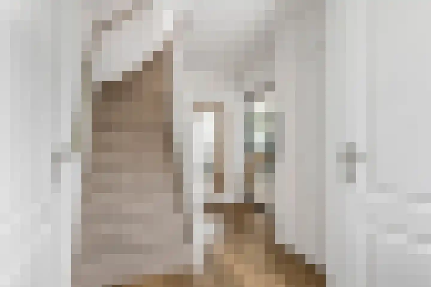 P. Oosterleestraat 17 Tiel thumbnail 31
