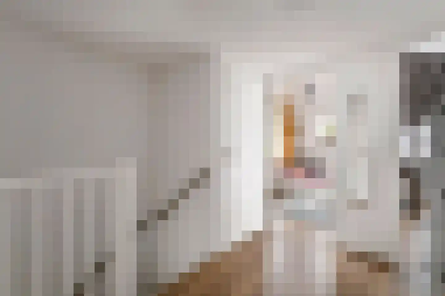 P. Oosterleestraat 17 Tiel thumbnail 33