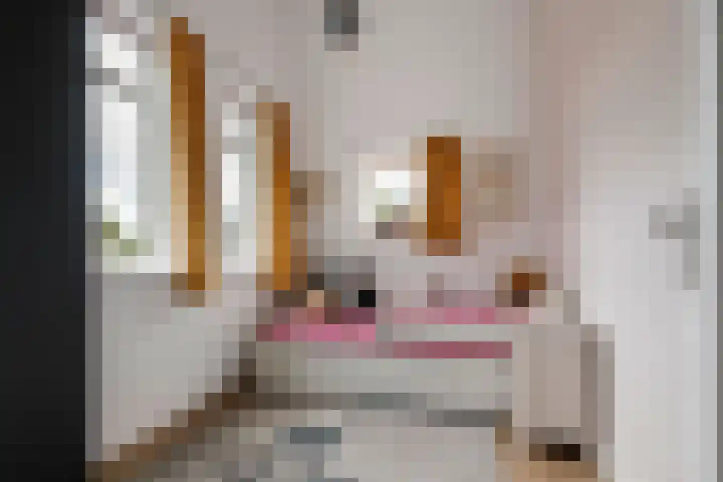 P. Oosterleestraat 17 Tiel thumbnail 34