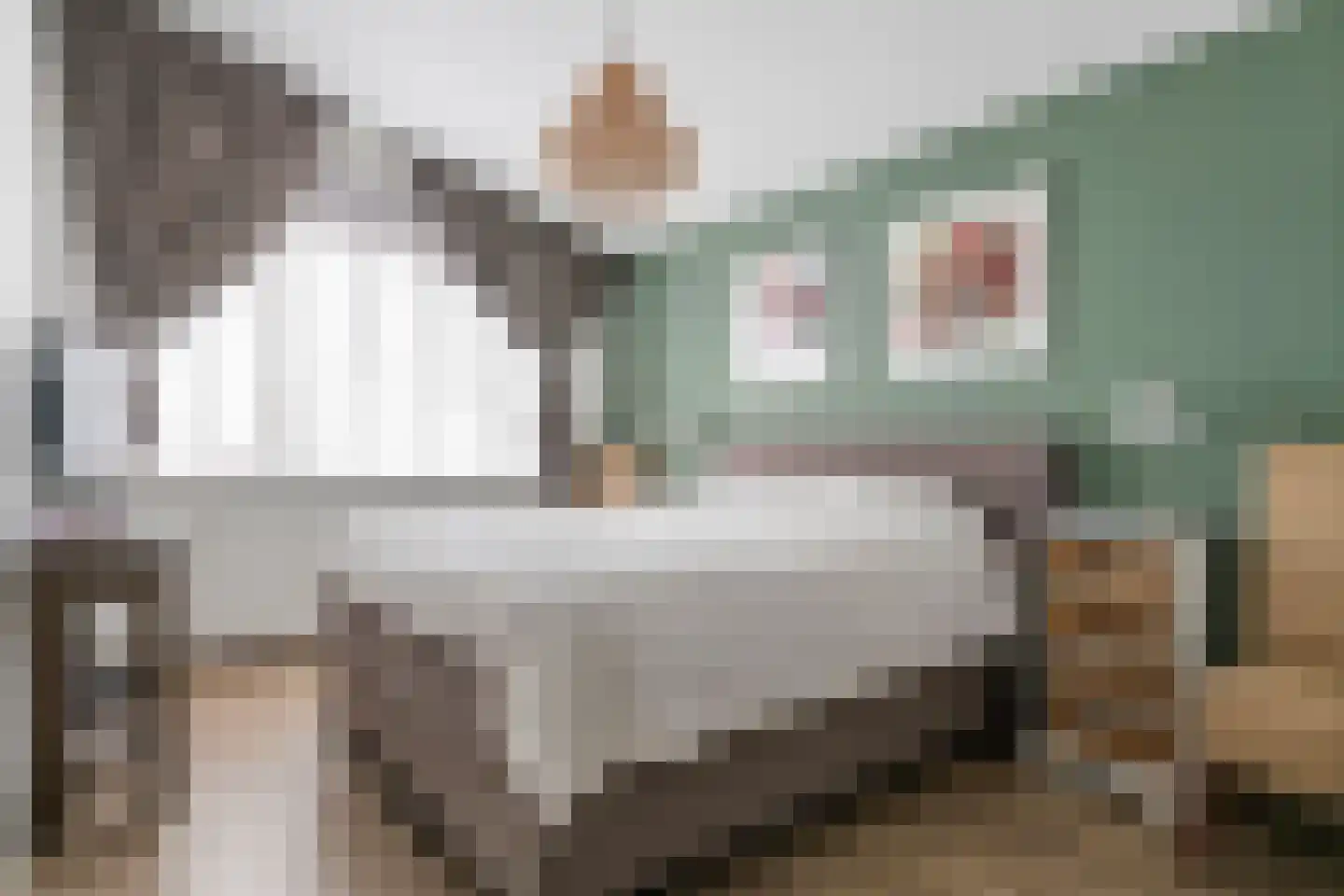 P. Oosterleestraat 17 Tiel thumbnail 35