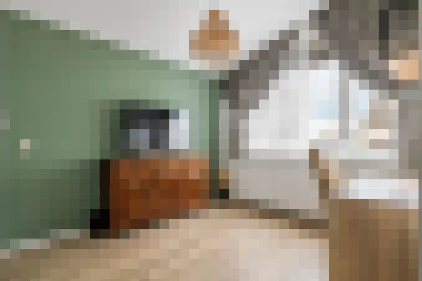 P. Oosterleestraat 17 Tiel thumbnail 37