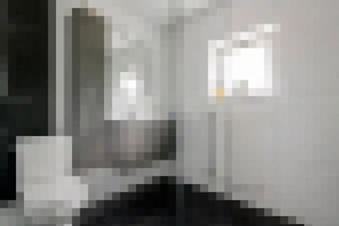 P. Oosterleestraat 17 Tiel thumbnail 43