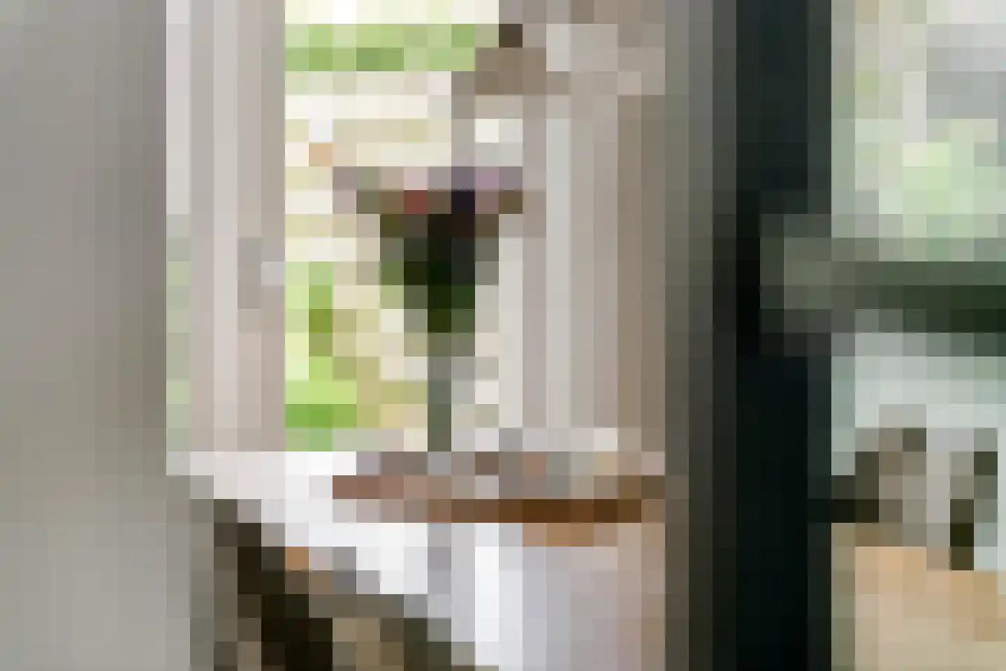 P. Oosterleestraat 17 Tiel thumbnail 8