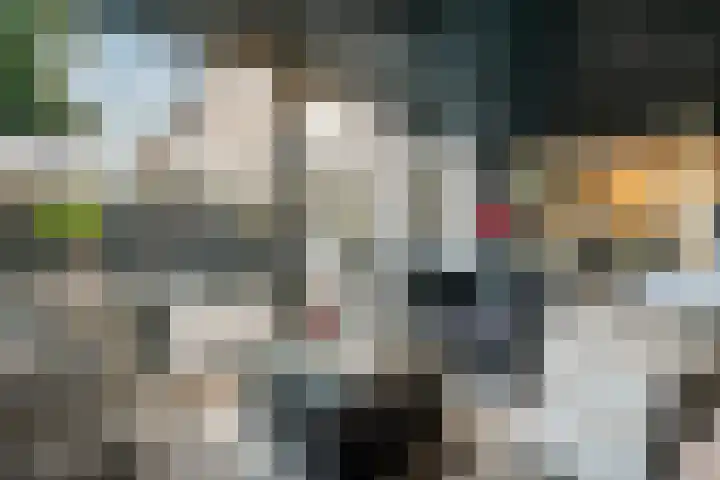 P. Oosterleestraat 6 Tiel thumbnail 10