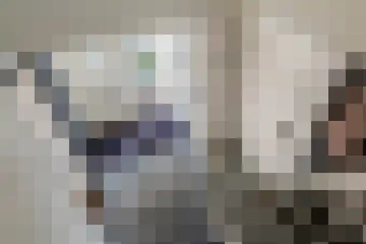 P. Oosterleestraat 6 Tiel thumbnail 16