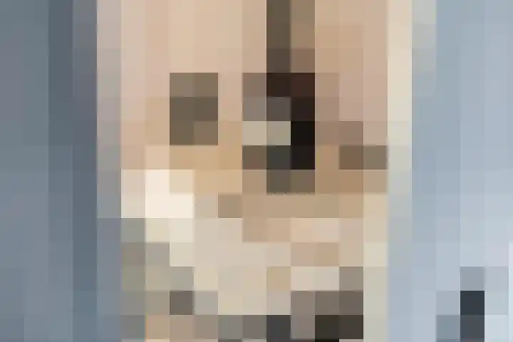 P. Oosterleestraat 6 Tiel thumbnail 17