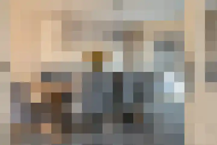 P. Oosterleestraat 6 Tiel thumbnail 22