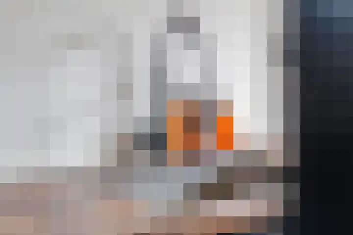 P. Oosterleestraat 6 Tiel thumbnail 27