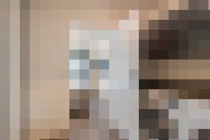 P. Oosterleestraat 6 Tiel thumbnail 28
