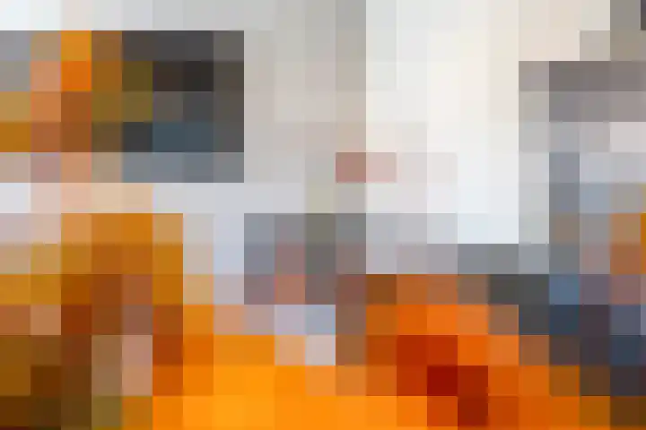 P. Oosterleestraat 6 Tiel thumbnail 34