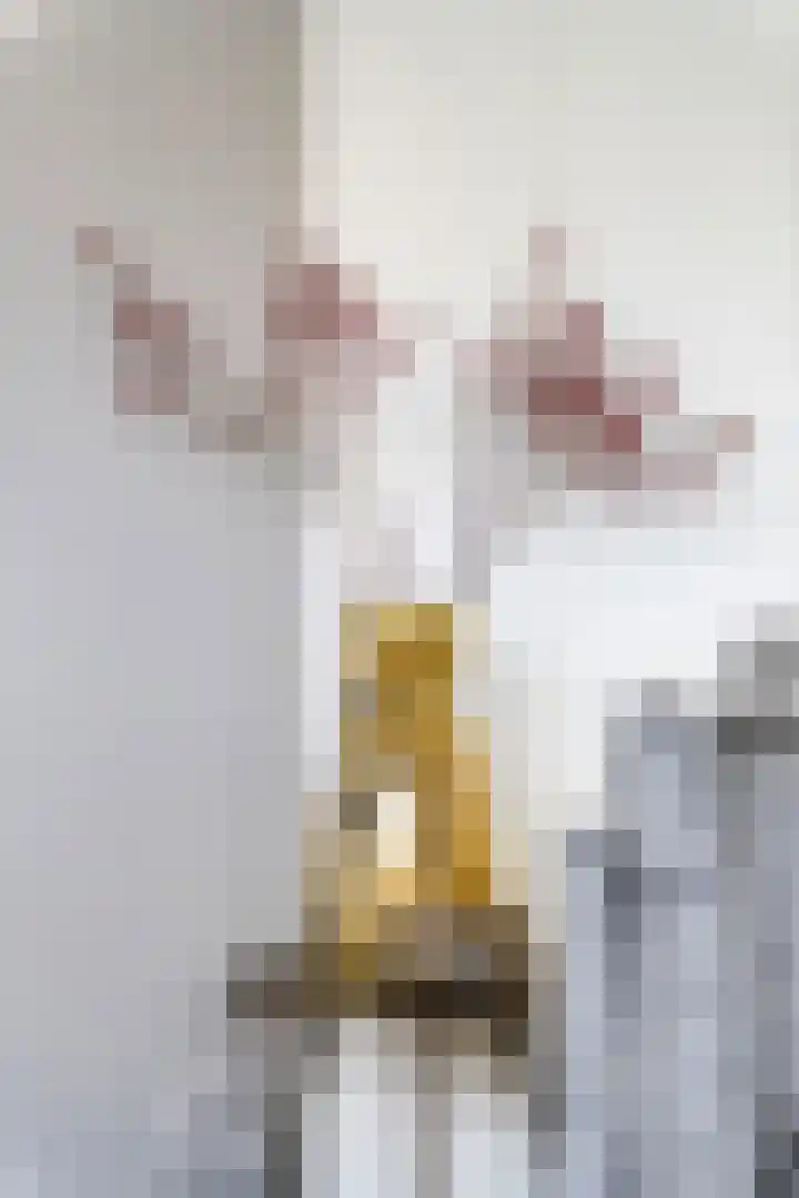 P. Oosterleestraat 6 Tiel thumbnail 35