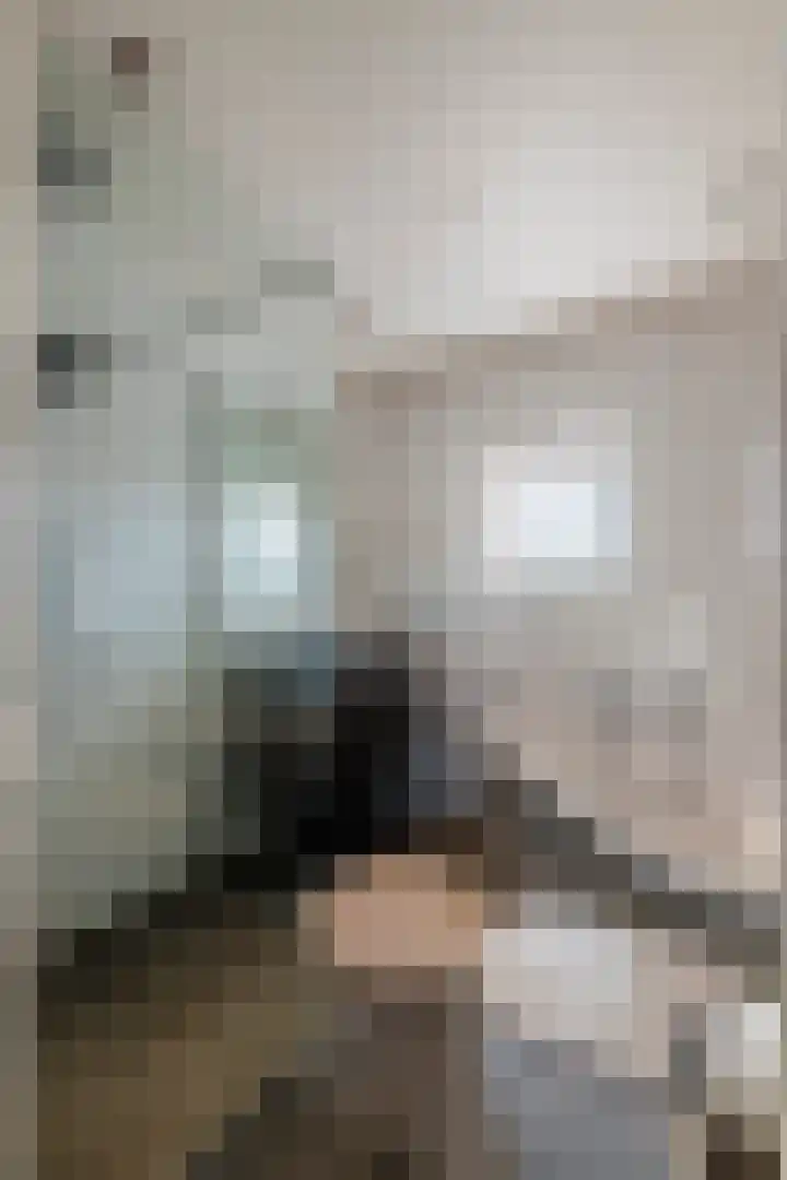 P. Oosterleestraat 6 Tiel thumbnail 36