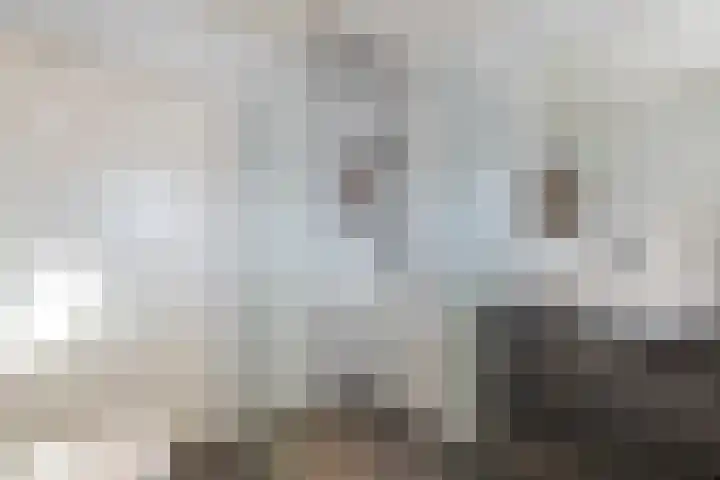 P. Oosterleestraat 6 Tiel thumbnail 37