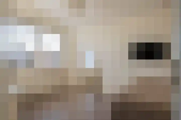 P. Oosterleestraat 6 Tiel thumbnail 39