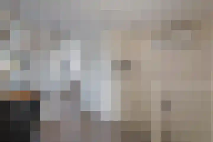 P. Oosterleestraat 6 Tiel thumbnail 42