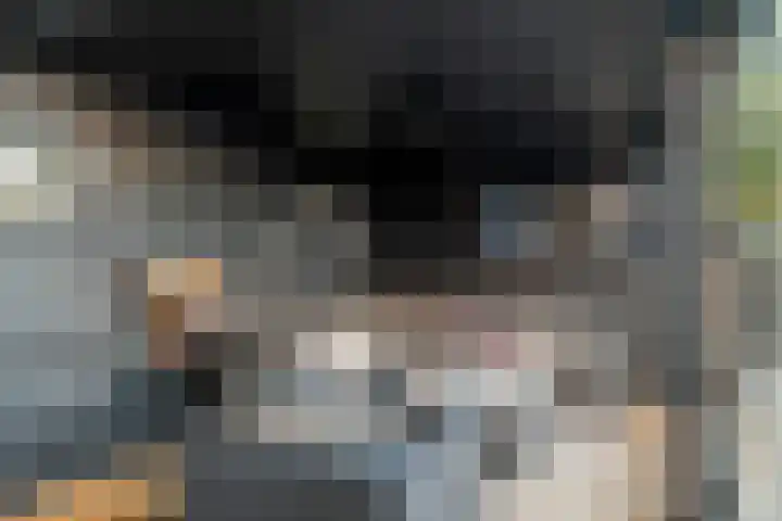 P. Oosterleestraat 6 Tiel thumbnail 8