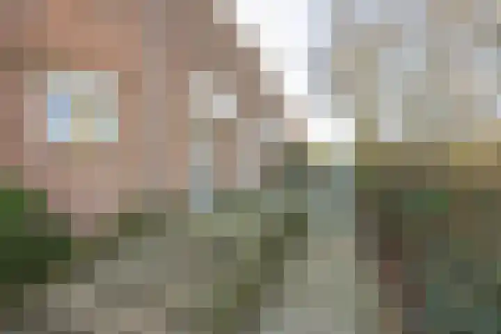 P. Petersstraat 52 Heerlen thumbnail 4