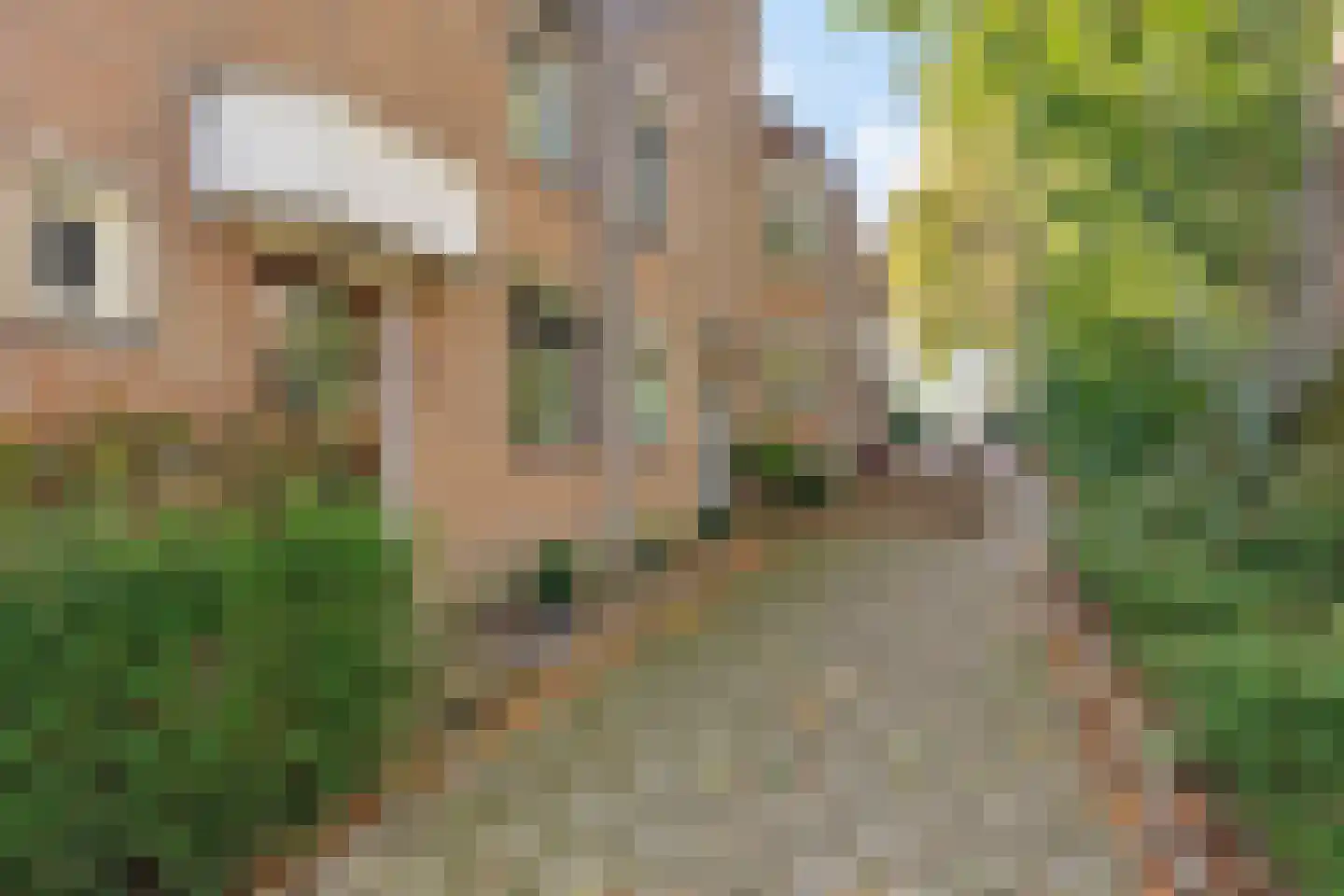 P. Petersstraat 56 Heerlen thumbnail 19
