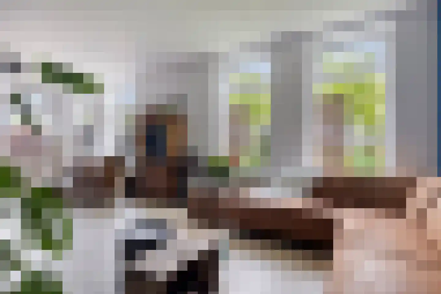 P.R. Roelfsema Rzn.-weg 28 Hoogersmilde thumbnail 11