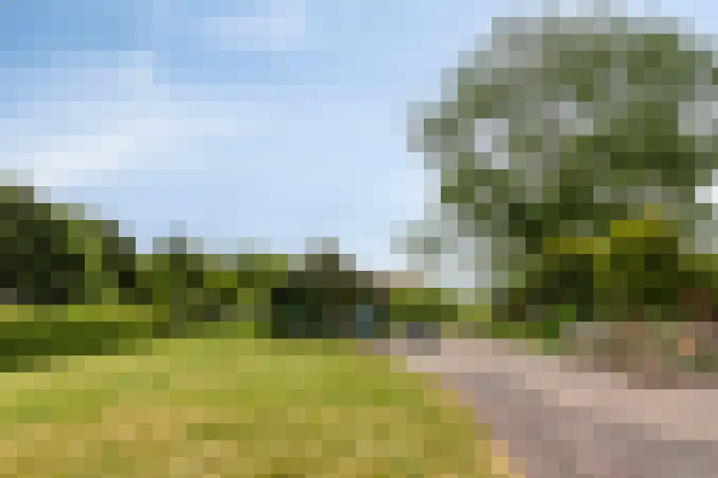 P.R. Roelfsema Rzn.-weg 28 Hoogersmilde thumbnail 36