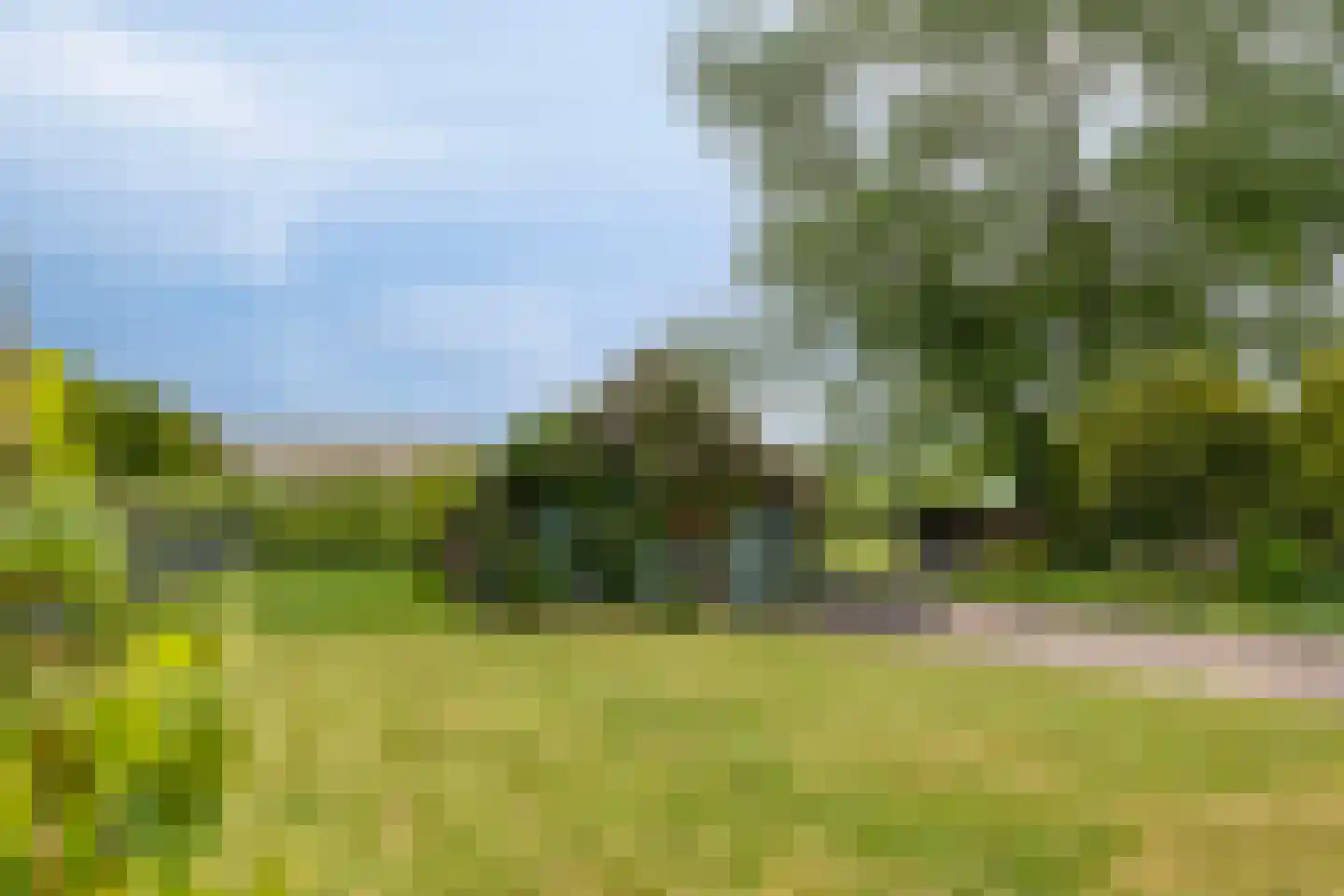 P.R. Roelfsema Rzn.-weg 28 Hoogersmilde thumbnail 38