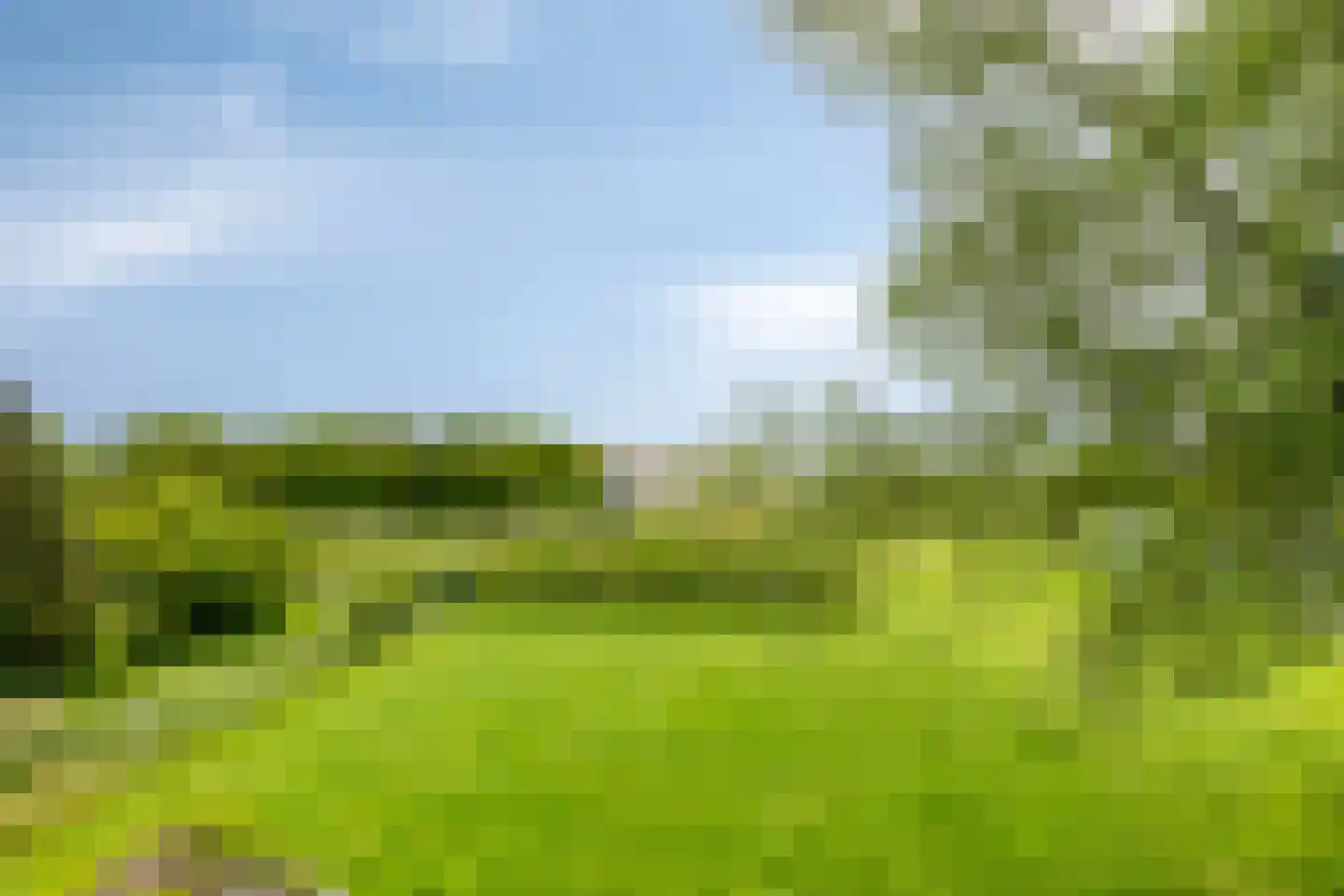 P.R. Roelfsema Rzn.-weg 28 Hoogersmilde thumbnail 4