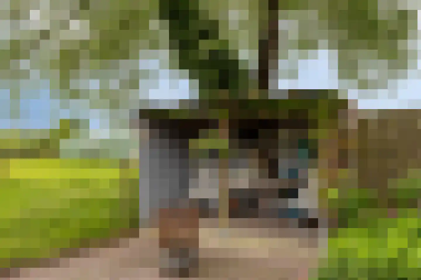 P.R. Roelfsema Rzn.-weg 28 Hoogersmilde thumbnail 40