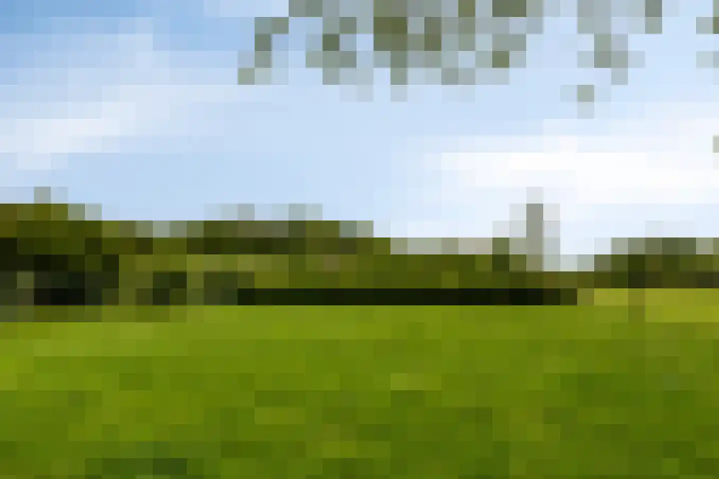 P.R. Roelfsema Rzn.-weg 28 Hoogersmilde thumbnail 41