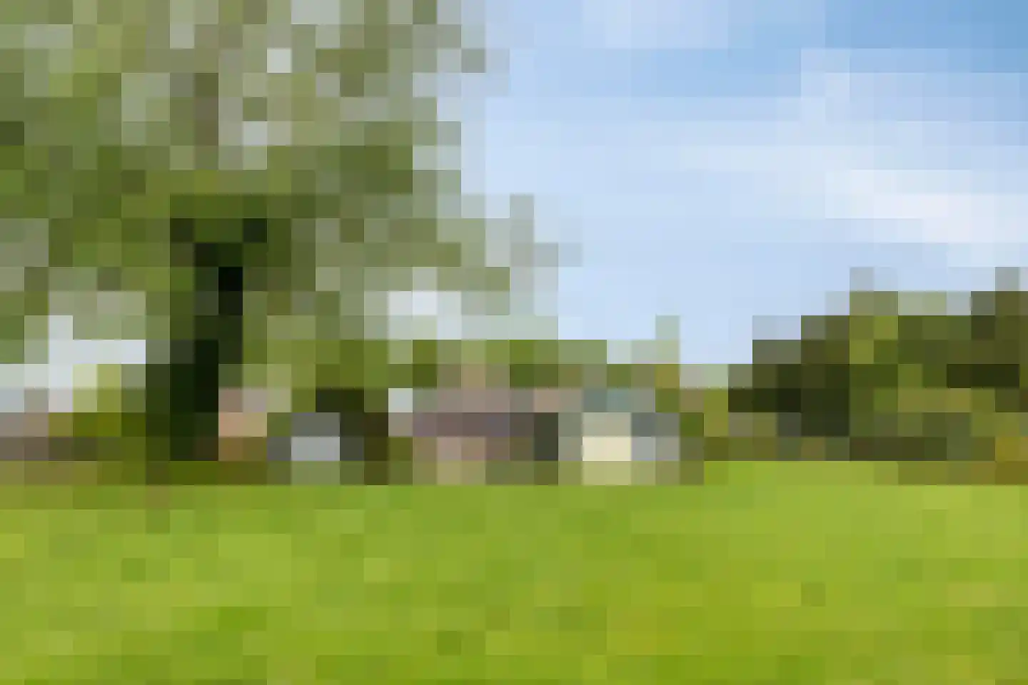 P.R. Roelfsema Rzn.-weg 28 Hoogersmilde thumbnail 43
