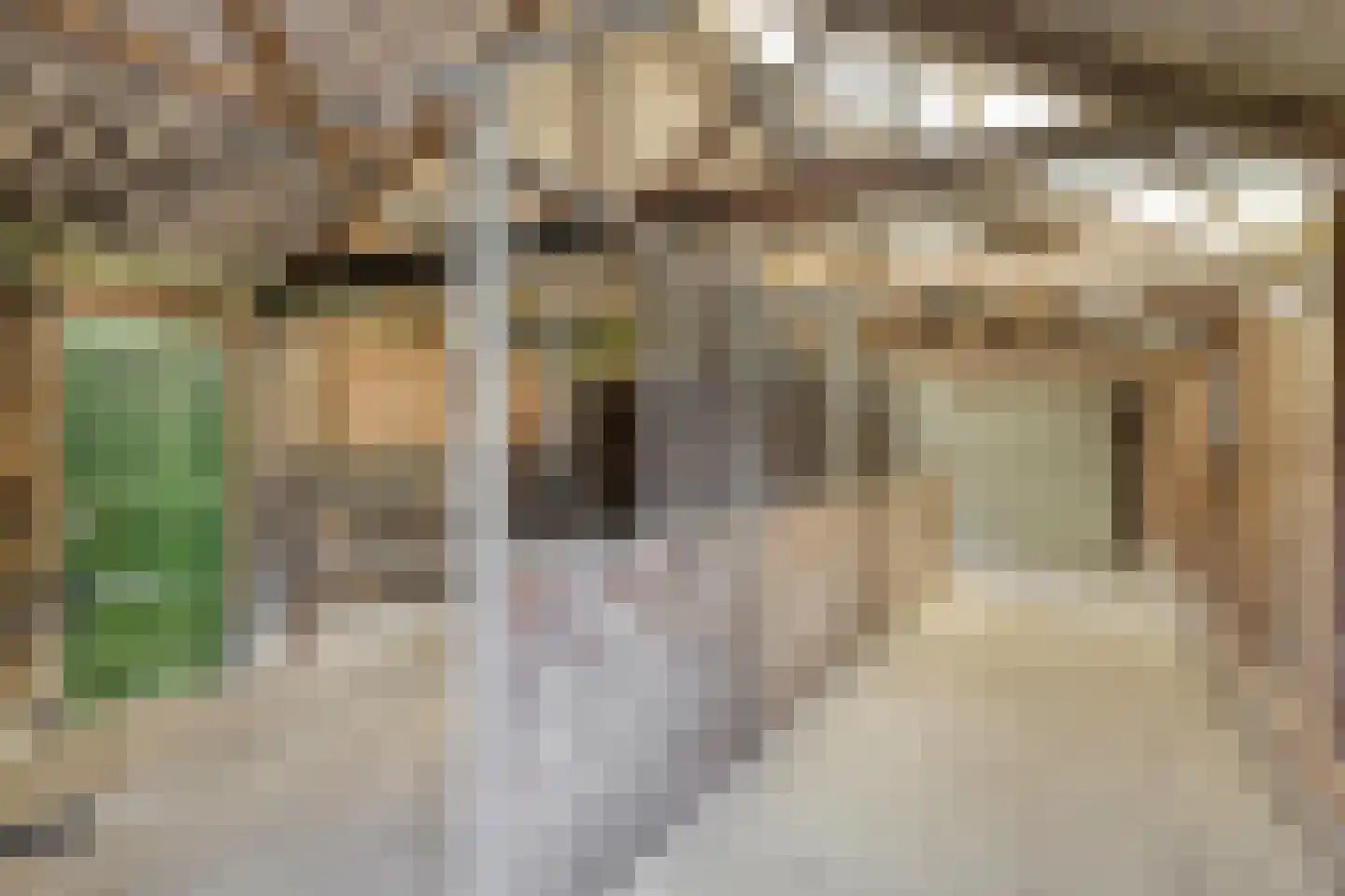 P.R. Roelfsema Rzn.-weg 28 Hoogersmilde thumbnail 48