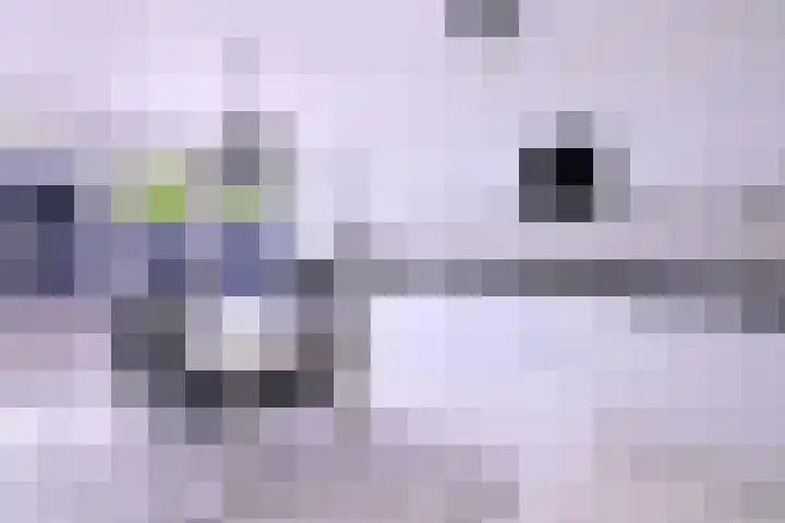 P. Reichholtstraat 23 Colmschate thumbnail 11