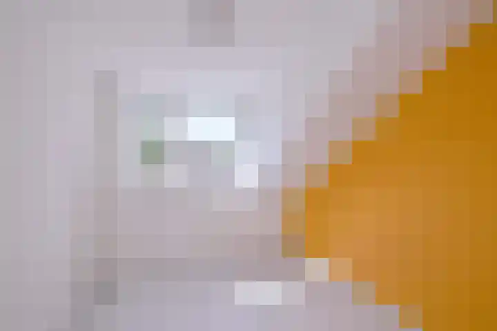 P. Reichholtstraat 23 Colmschate thumbnail 25