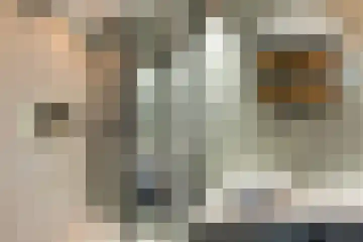 P. Rijsdijkstraat 15 Sliedrecht thumbnail 38