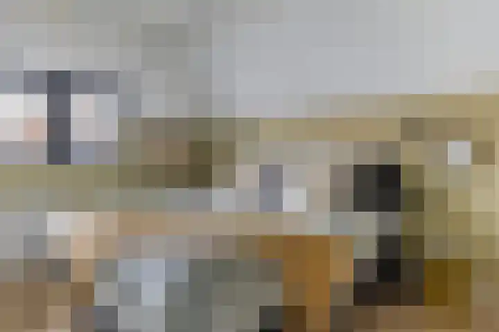 P. Rijsdijkstraat 15 Sliedrecht thumbnail 4