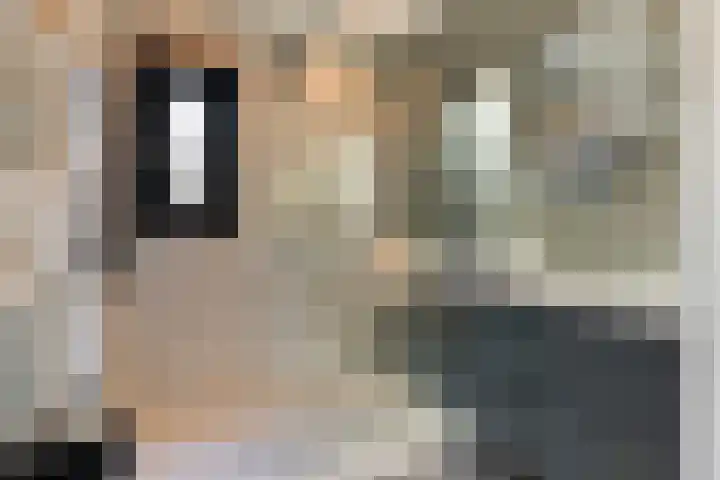 P. Rijsdijkstraat 15 Sliedrecht thumbnail 5