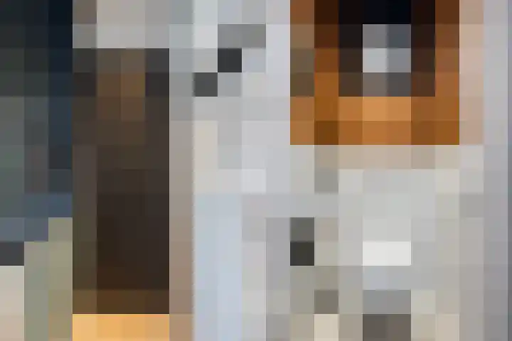 P. Rijsdijkstraat 15 Sliedrecht thumbnail 8