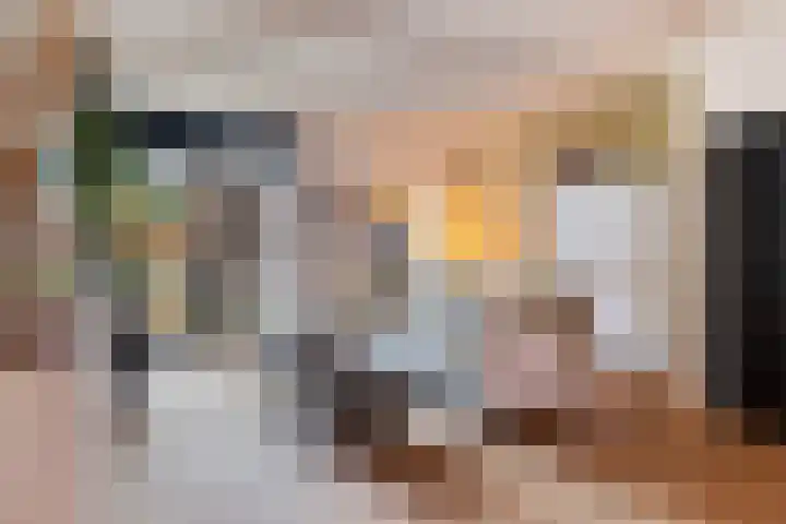 P. Rijsdijkstraat 15 Sliedrecht thumbnail 9