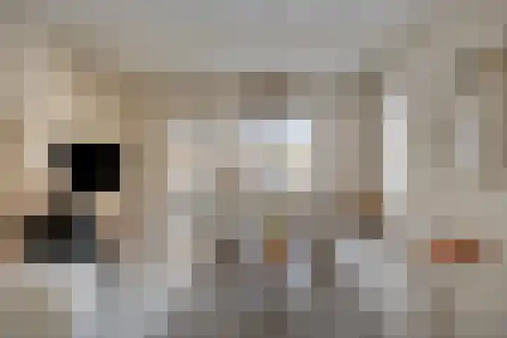 P. Rijsdijkstraat 23 Sliedrecht thumbnail 7